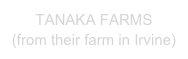 TANAKA FARMS
(from their farm in Irvine)
